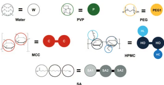 Fig. 3. Coarse-grain method; molecules and monomer conversion into beads for water (W), Polyvinylpyrrolidone (PVP), Polyethylene glycol400 (PEG), Microcrystalline cellulose (MCC), Hydroxypropyl-methylcellulose (HPMC) and Stearic acid (SA).