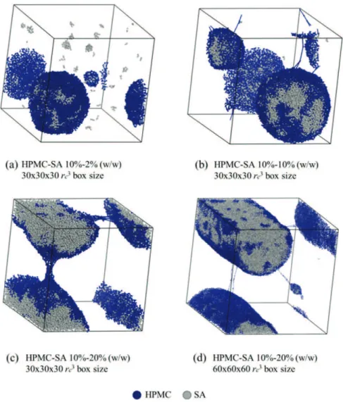 Fig. 5. Snapshots of DPD simulation at equilibrium state of HPMC-SA (10%–10% (w/w)) mixture in water under different amounts of SA, HPMC: Hydroxypropyl-methylcellulose, SA: Stearic acid.