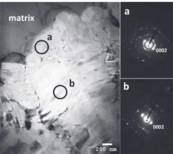 Fig. 3. Photomontage of TEM images of a diametrical section of graphite spheroid combined with the crystal orientation map of graphite obtained by ACOM; apparent boundaries between sectors are highlighted by white dotted lines (dark areas at the periphery 