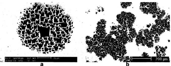 Figure  1.13  Images  MEB  en  vue  plane  d ’un  domaine  de  pores  (a)  et  d ’une  agglomeration  de  domaines  formes  sur  la  surface  polie  de  n-Ge  (1  •  1016)  polie  dans  HC15%  apres  2  h  de  gravure  [31]