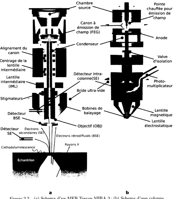 Figure  2.2  (a)  Schema d ’un  MEB  Tescan  MIRA  3 ;  (b)  Schema  d ’une  colonne Gemini  d ’un  MEB  Zeiss  LEO  1530  VP