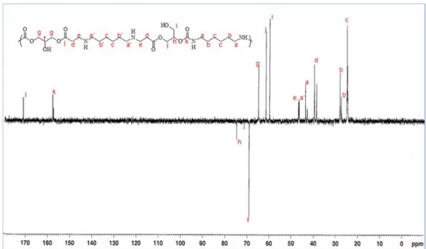 Figure 6. Representation and nomenclature for a glycerol amino ethylene ester PHUs for  13 C-NMR  (dept135) in D 2 O