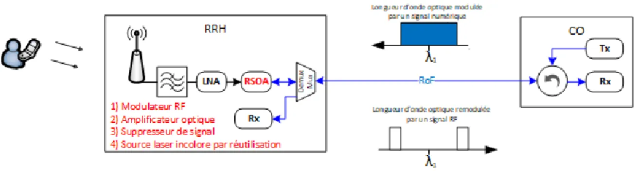 Figure 6 : RSOA dans les applications RoF. 