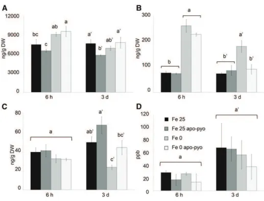 Figure 8. Analysis of hormone contents in the shoots (A–C) or in the air (D) 6 h and 3 d after apo-pyo treatment in  iron-sufficient or iron-deficient medium