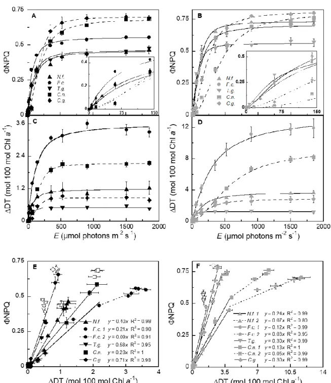 Figure  4:  A-B)  Non-photochemical  quenching  yield  ( ϕ NPQ)  and  C-D)  diatoxanthin  accumulation  (ΔDT)  induction measured  during non-sequential  light curves in all  species  acclimated to 15 (left panels) and 50 µmol m -2  s -1  (right panels) gr