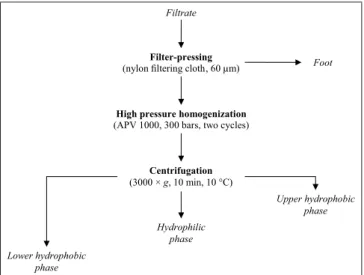 Fig. 3. Schematic representation of the filtrate’s treatment.