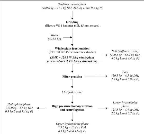 Fig. 5. Assessment of the whole plant fractionation in the twin-screw extruder under the optimal operating conditions (DM, dry matter; L, lipids; P, proteins; SME, specific mechanical energy consumed by the motor).