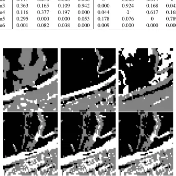 Fig. 8. The label maps of ROI 2 estimated by Eches’ CLRSAM model (top) and the proposed model (bottom) for R = 3, 4 and 5 respectively
