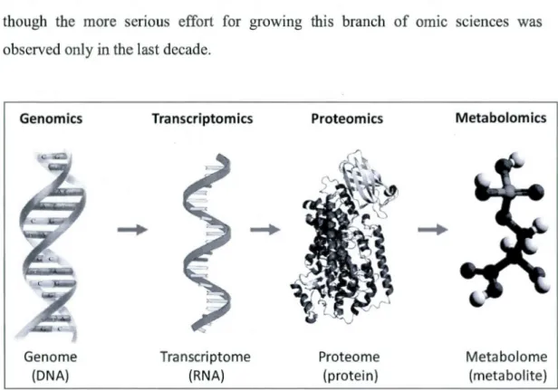 Figure  1.1 Genomics, transcriptomics, proteomics and metabo lomics stud y genome (DNA),  transcriptome (RNA), proteome (proteins)  and metabo lome (metabolite) content of 