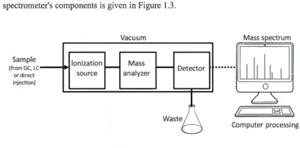 Figure 1.3  A simple diagram representing the main parts of  mass spectrometer (the source  is  not under vacuum for LC-MS systems, since these use atmospheric pressure ionization  techniques) 