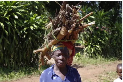 Figure 3 - « Prends-moi en photo, avec mon tas de bois, pour montrer chez toi qu’ici, les vieilles mamans travaillent dur