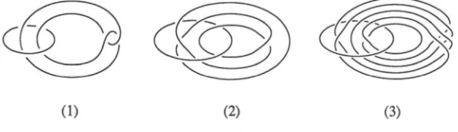 Figure  2.1  The  links  Li ,  L 2  and  L 3 . 