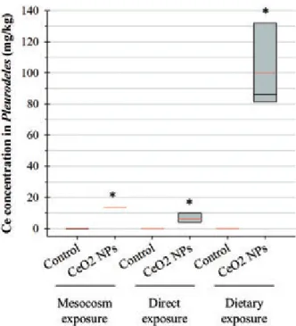 Table 1. Toxicity and NP accumulation in P. waltl. larvae observed for different exposure methods.