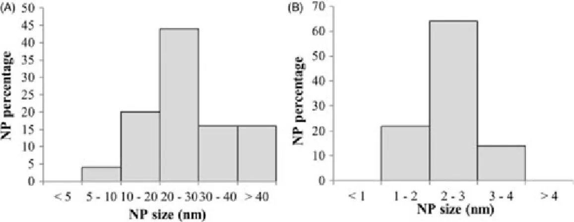 Figure 7. NP size distributions (A) in stock suspension at T0 and (B) in mesocosm water column at T4