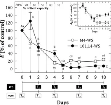 Figure	1.	 Average	 ±	 SE	 values	 of	 net	 CO 2 	 assimilation	 (An)	 and	 leaf	 transpiration	 (E)	 for	 water	 stress	 plants.	 Results	 are	 expressed	 as	 a	 percentage	 of	 control.	 T1-4	 represent	sampling	time	points	throughout	the	experimental	pe