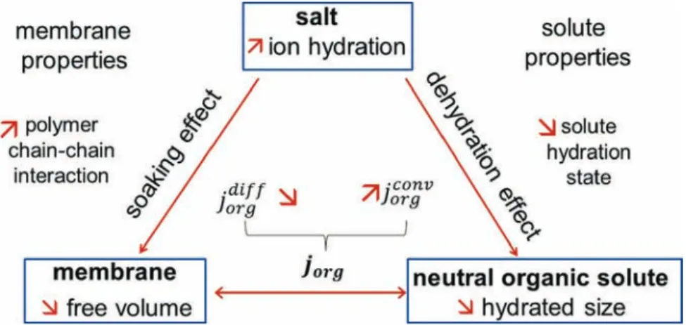 Fig. 10. Inﬂuence of salt (ion hydration) on the transfer of neutral organic solutes in ED.