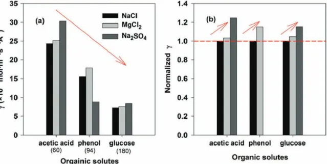 Fig. 8. Variation of convective coefﬁcients γ for different organic solutes: inﬂuence of the solute size (a); solute M w shown in bracket (g mol ! 1 ); inﬂuence of the salt (b); [organic solute]¼ 0.1 mol L !1 and [salt] ¼0.8 eq L !1 ; normalized γ with the