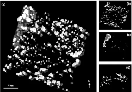Figure 5. Resulting graylevel image of clouds and cloud shadows combining all the individual masks of the SITS at each date (a); or detected only in 26 May (b); in 20 July (c); and in 21 September (d)