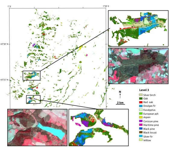 Figure 6. Map of forest tree species at level 3 based on the smoothed W bands dataset and the SVM classifier