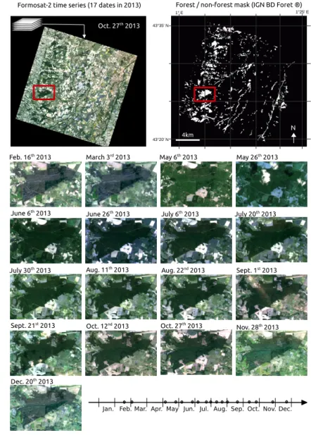 Figure 2. Dataset used in the study composed of a multispectral Formosat-2 time series of 17 dates covering a 24 km × 24 km area and a forest/non-forest mask derived from the French National Forest Inventory database