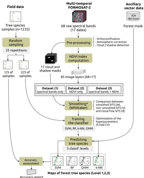 Figure 3. Tree species classification process of the Formosat-2 satellite image time series