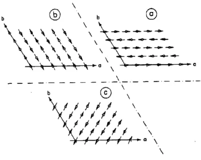 Figure 2 ; Structure des domaines magnetiques, dans la phase tri-dimensionnelle, du CsNiFg.