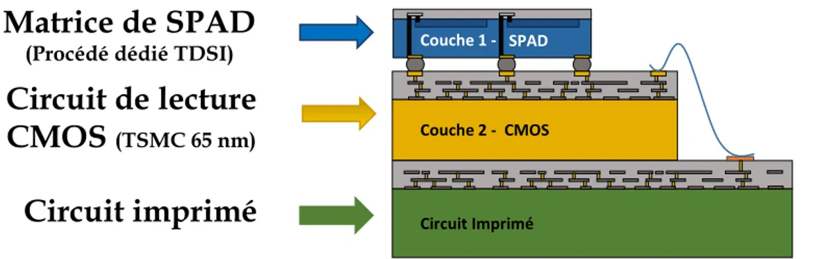 Figure 1.1 Schéma d’un convertisseur photon-numérique 3D. La couche su- su-périeure est une matrice de SPAD reliée par des interconnexions verticales à l’électronique de lecture CMOS