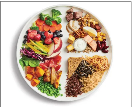 Figure 1. Assiette équilibrée du Guide alimentaire canadien 2019 55 .  
