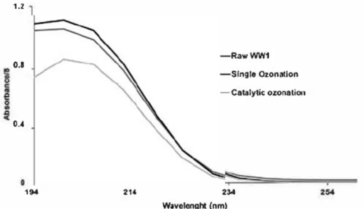 Figure  11.  UV  Absorbance spectra in the range  250-450  nm for  raw  WW1  and after single and catalytic ozonation