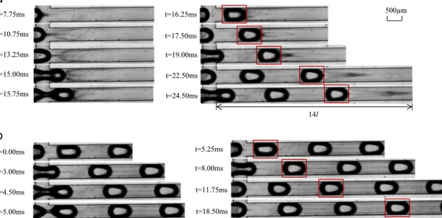 Fig. 3a presents a typical image sequence obtained just after the moment where both gas and liquid phases are injected in the microchannel
