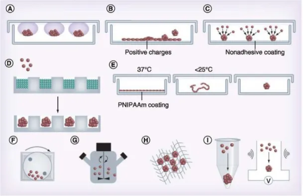 Figure 10 : Techniques de culture in vitro des sphéroïdes. Tirée de Benien et al. (2014)