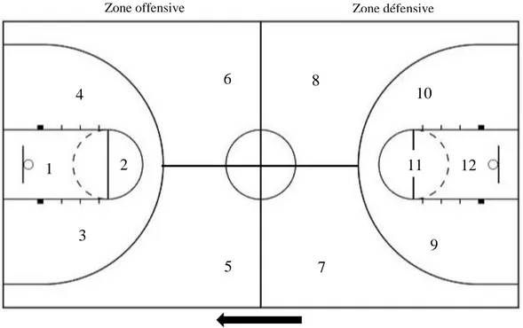 Figure 5. Divisions du terrain effectuées pour l’observation des actions des joueurs pour le  TSAP basketball adapté