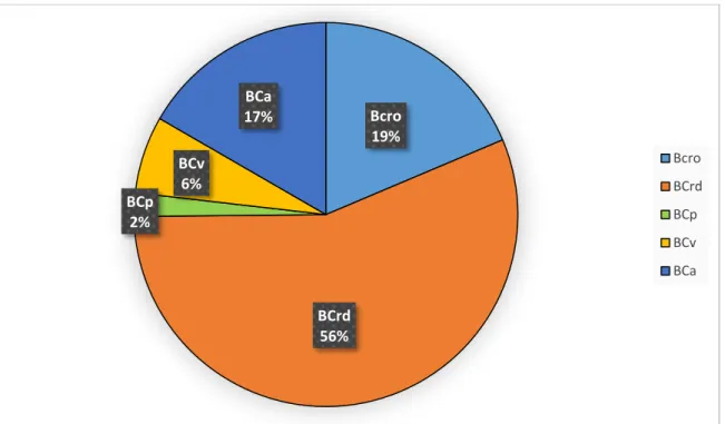 Figure 9. Pourcentage des différentes catégories de balles conquises par équipe par match  en excluant les catégories de « ballons reçus »