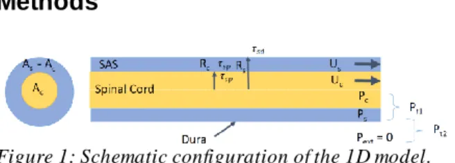 Figure  2:  Wall  shear  stress  time  evolution  at  the  middle of the spinal canal
