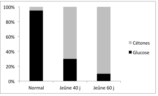 Figure	 7	:	 Apport	 énergétique	 cérébral	 des	 cétones	 en	 condition	 normale	 comparée	 à	 différentes	conditions	de	jeûne	(Adapté	de	Drenick	et	al.,	1972;	Owen	et	al.,	1967).	 	