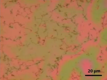 Fig  SI1:  Optical  micrograph  of  a  graphene  layer  floating  on  a  liquid  film  above  a  hydrophilic  flat  SiO 2   substrate