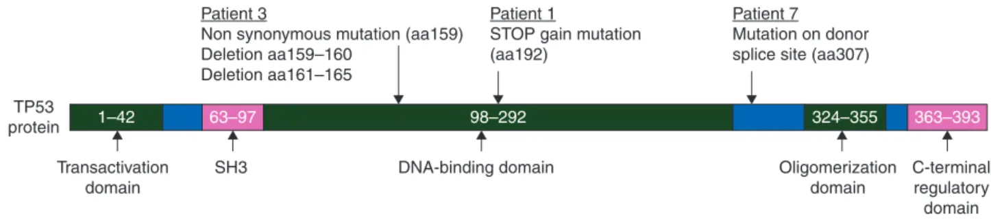 Figure 2. TP53 mutations observed in three patients.