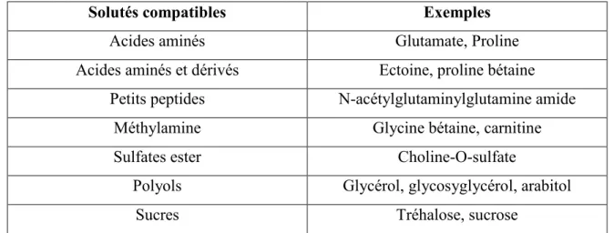 Tableau 2.4  Exemples de solutés compatibles de bactéries halophiles et halotolérantes  [Imhoff, 1992] 