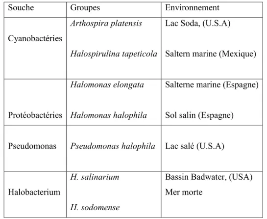 Tableau 2.6 Exemple de bactéries halophiles et halotolérantes isolées de milieux naturels  (adapté de [Grant, 2004 ; Lozach, 2001]) 