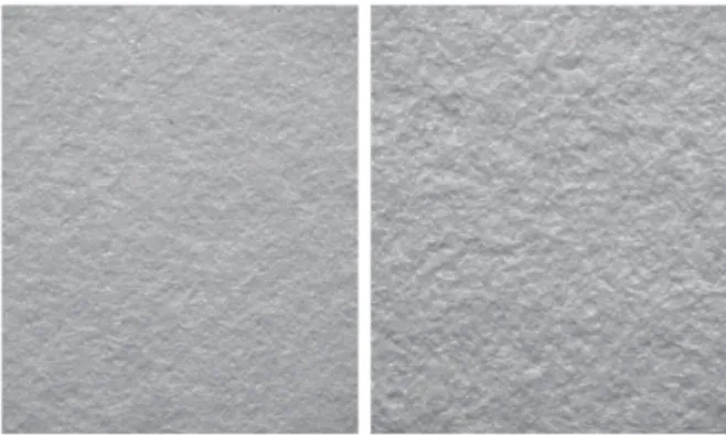 Fig. 1. Example raking light image of wove paper, showing recto (left) and verso (right)