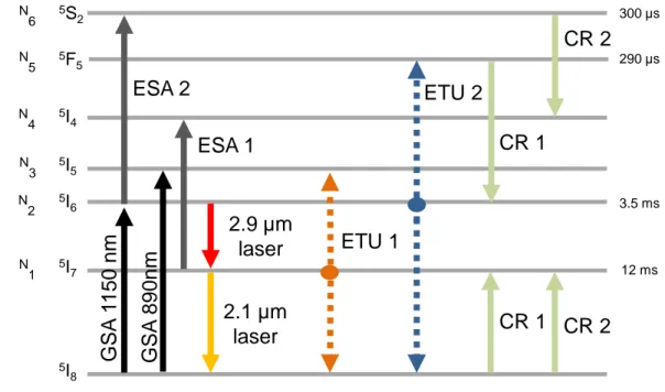 Figure I.12: Simplified energy level diagram of Ho 3+ -doped ZrF 4 fiber. CR; cross relaxations.