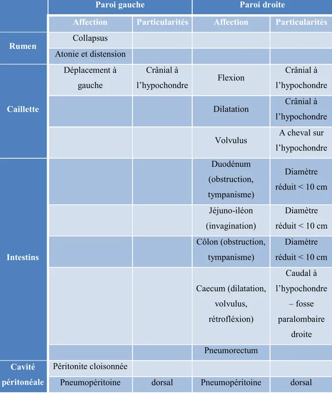 Tableau 1 : affections à l’origine d’un bruit tintinnabulant (« ping ») lors de  l’auscultation – percussion de la paroi abdominale (Schelcher