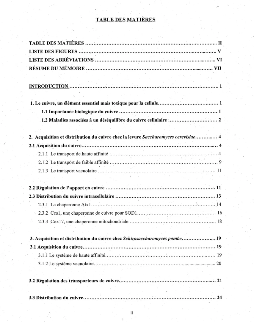 TABLE DES  MATIERES 