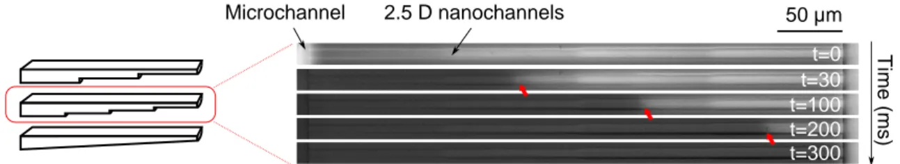 Figure 3.20: on the left, scheme of the three kinds of non-uniform depth nanochannels used for imbibition: 3 steps, 4 steps and continuous slope ranging between 250 and 400 nm