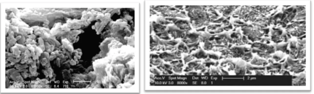 Figure 19. Left: MIL-53 particles. Right: Cross-sectional SEM image of Matrimid/MIL-53  30 wt.% [124]