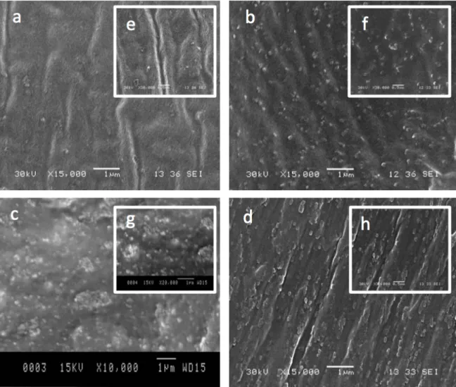 Figure 28. Typical SEM images of the MMM at different magnifications (15K,30K) for:  (a,e) 5, (b,f) 10, (c,g) 15 and (d,h) 20 wt.% NH 2 -MIL-53