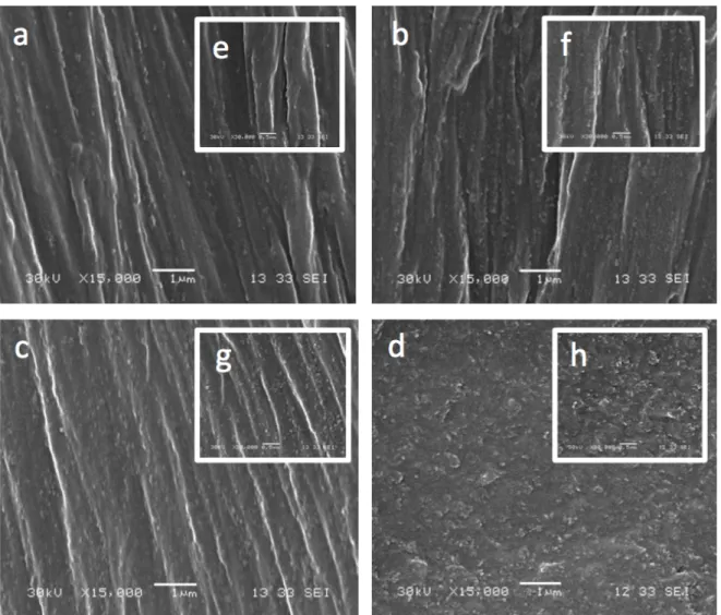 Figure 29. Typical SEM images of the MMM at different magnifications (15K,30K) for:  (a,e) 5, (b,f) 10, (c,g) 15 and (d,h) 20 wt.% MIL-53