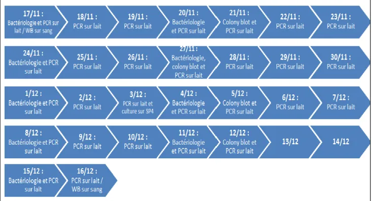 Figure 5 : Calendrier de réalisation des analyses de laboratoire