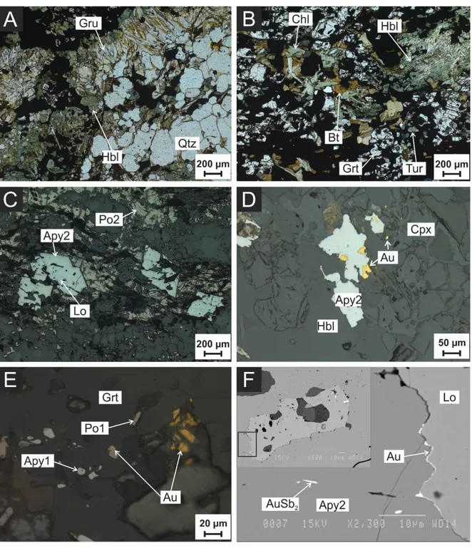 Figure  1.8.  Microphotographs  of  Zone  26  mineralization  and  backscattered  electron  image