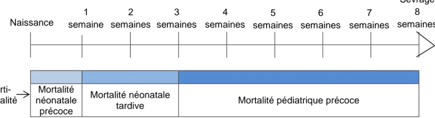 Tableau 1 – Répartition du taux de mortalité selon l’âge rapporté dans la littérature Figure 1 – Définition de la mortalité en fonction de l’âge chez le chiot 